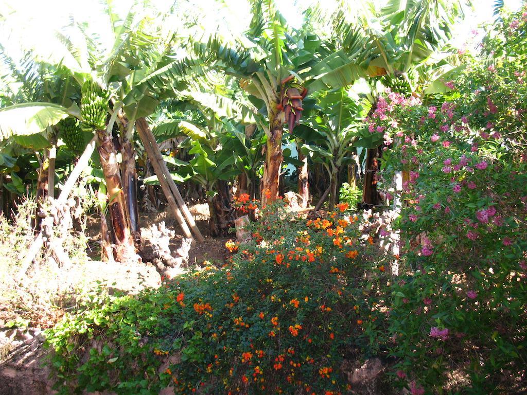Quinta Sao Goncalo Funchal (Madeira) Exterior foto